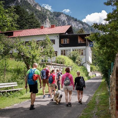 Berghof Seiser Toni Oberhoflein Εξωτερικό φωτογραφία