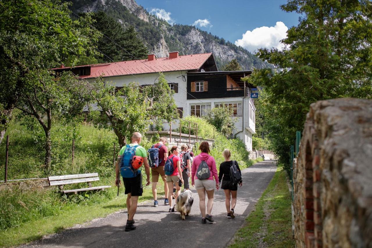 Berghof Seiser Toni Oberhoflein Εξωτερικό φωτογραφία